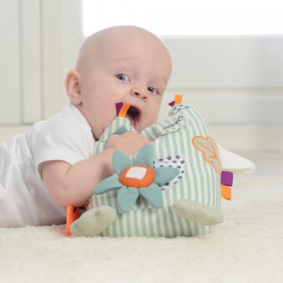 Dolce Primo sova - obrázek