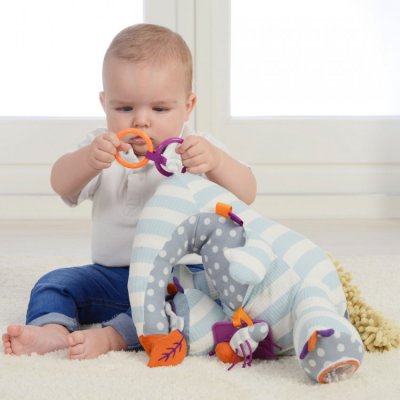 Dolce Primo mravenečník - obrázek