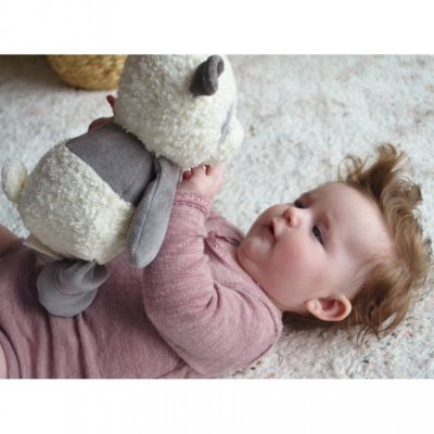 My Teddy moje panda - obrázek