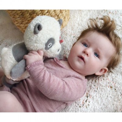 My Teddy moje panda - obrázek