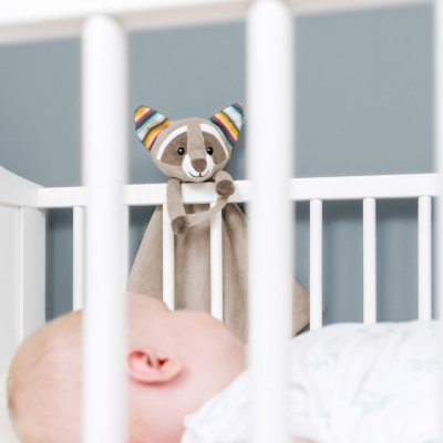 Zazu šumící muchláček s tlukotem srdce a melodiemi - Mýval Robin - obrázek