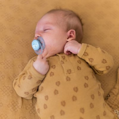 Lodger Jumper Print Rib Honey - Vel. 56 - obrázek