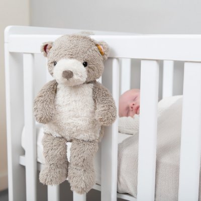 Zazu šumící zvířátko s nočním světlem a hlasovým rekordérem - Medvídek Bruno - obrázek