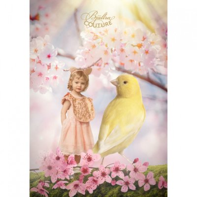 Bjällra Couture klip na dudlík Glamour Butterfly - obrázek