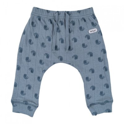 Lodger Jogger Flame Tribe Ocean - Vel. 62