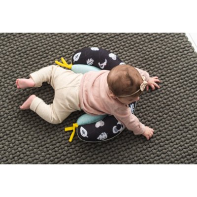 TAF Toys Polštářek 2v1 pro hru na bříšku - obrázek