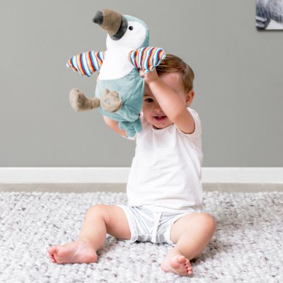 Zazu interaktivní zvířátko se kterým bude dítě společně zpívat - Tukan Timo - obrázek