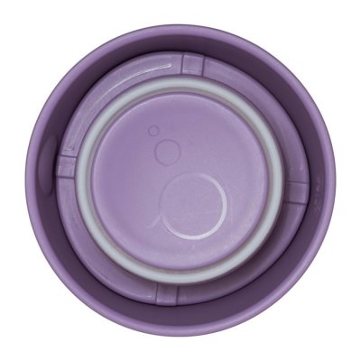 b.box termoska na jídlo Mini - Medvěd - obrázek