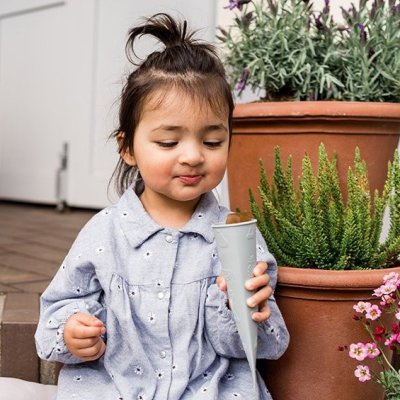 Kindsgut formičky na nanuky 3 ks - Léto - obrázek