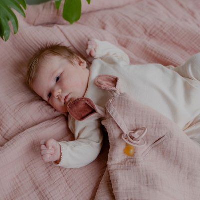 BIBS muchláček z Bio bavlny Kangaroo - Blush - obrázek