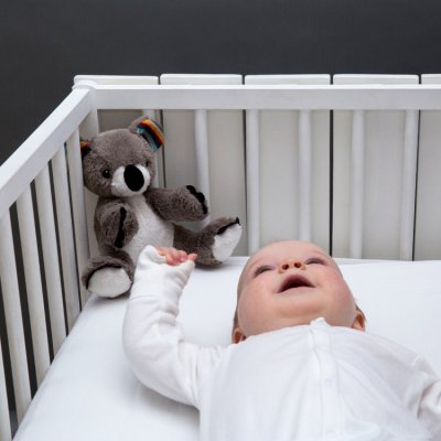 Zazu šumící zvířátko s tlukotem srdce a melodiemi - Koala COCO - obrázek