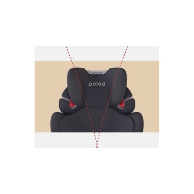 Poled Ball-fix Pro Premium - Mono Black - obrázek