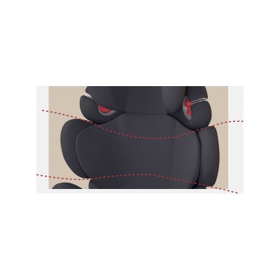 Poled Ball-fix Pro Premium - Mono Black - obrázek