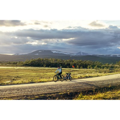 Thule Chariot Cross1 - Alaska - obrázek