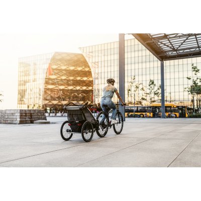 Thule Chariot Lite2 - Agave - obrázek