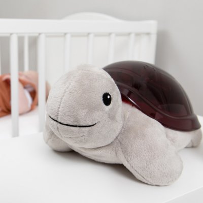 Zazu projektor západu slunce s létajícími ptáky - Želva Tim - obrázek