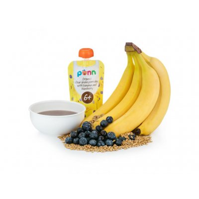 Salvest Ponn BIO banán s borůvkou a obilnými vločkami - 110 g, 6 m+ - obrázek