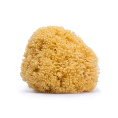 Suavinex Přírodní mycí houba střední