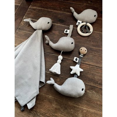 Pine Cone Waldo Muchláček na dudlík - obrázek