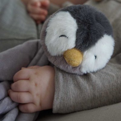 Petú Petú Aka Muchláček Penguin - obrázek