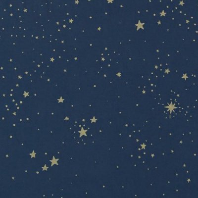 Nobodinoz Bambusový úložný koš Small - Gold Stella/Night Blue - obrázek