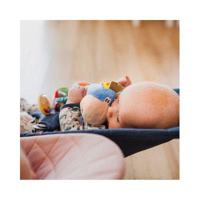 Playgro Chrastítko Oslík - Modré - obrázek