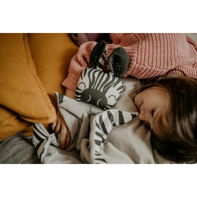 Ababu Muchláček Zebra - obrázek