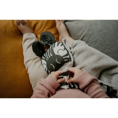 Ababu Muchláček Zebra - obrázek