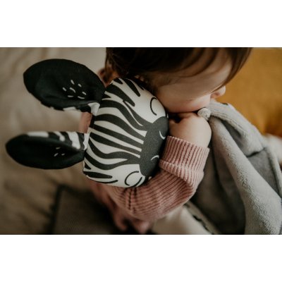 Ababu Muchláček Zebra - obrázek