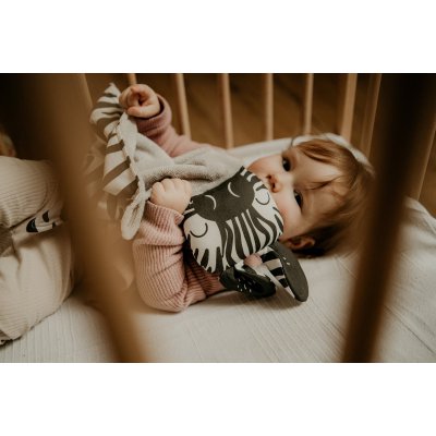 Ababu Muchláček Zebra - obrázek