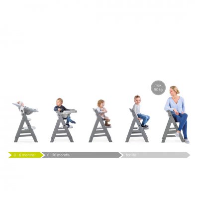 Hauck Alpha+ Set Dřevěná židle s polstrováním Teddy Grey zdarma - obrázek