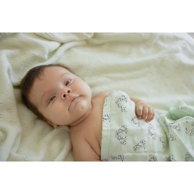 Elodie Details Deka z bambusového mušelínu - Darling Dalmatians - obrázek