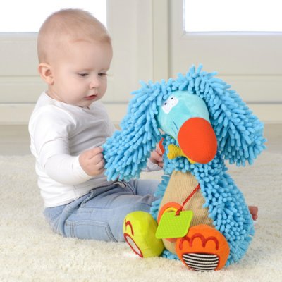 Dolce afghánský chrt Artur - obrázek