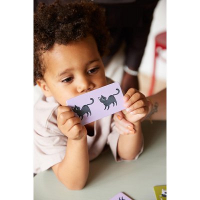 Filibabba Domino Hospodářská zvířata - obrázek