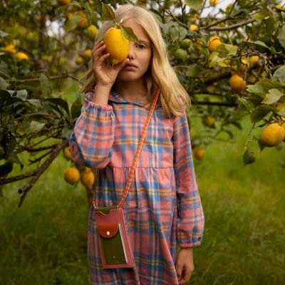 Sticky Lemon Pouzdro na telefon XL Farmhouse - Flower Pink