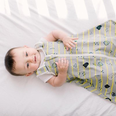 Ergobaby spací vak - Brave Knight - obrázek