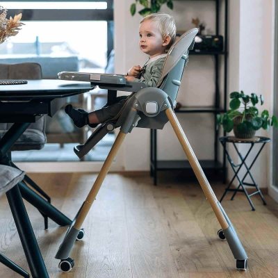 FreeOn Jídelní židlička Kai - Pink - obrázek