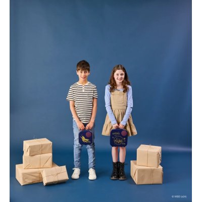 b.box Svačinový box střední - Harry Potter - obrázek