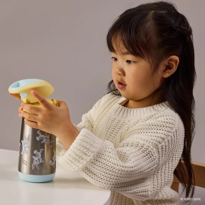 b.box Termoska na pití s brčkem 350 ml - Looney Tunes