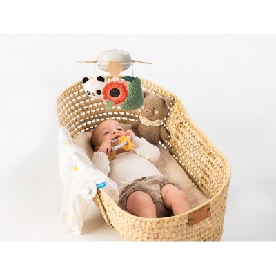 Taf Toys Sada hraček Newborn Luxe - obrázek