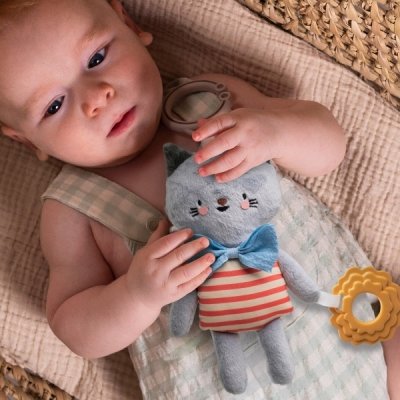 Taf Toys Kočička Clara - obrázek