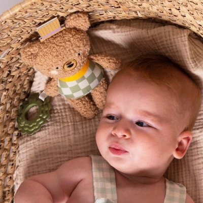 Taf Toys Medvídek Brendon