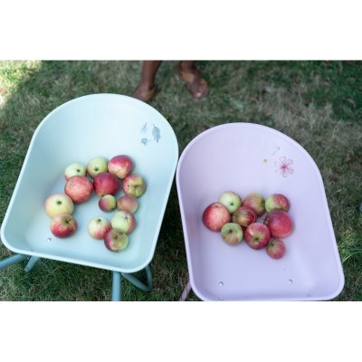 Little Dutch Zahradní kolečko - Fairy Garden - obrázek