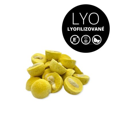MoonFood Lyofilizované ovoce - Kešu v mangové krustě, 50 g