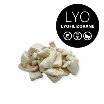 MoonFood Lyofilizované ovoce - Kokos, 100 g