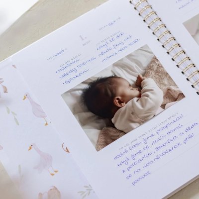 Love & Story Design Vzpomínková knížka pro miminka - Forest Fairytale - obrázek