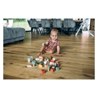 FreeOn Free2Play Dřevěné kostky - Farma, 36 ks - obrázek