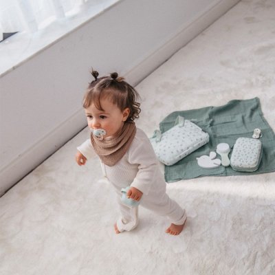 Suavinex Birdies Dudlík fyziologický SX Pro 6 - 18 m, 2 ks - Zelený - obrázek