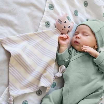 Lässig Usínáček Cuddle Cloth GOTS - Cat - obrázek