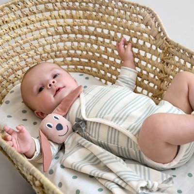 Lässig Usínáček Cuddle Cloth GOTS - Dog - obrázek